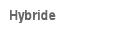 Hybride